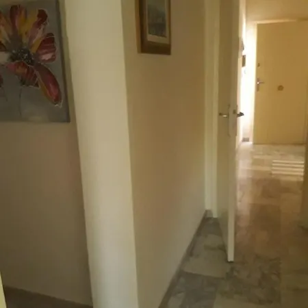 Mesi Estivi Viareggio